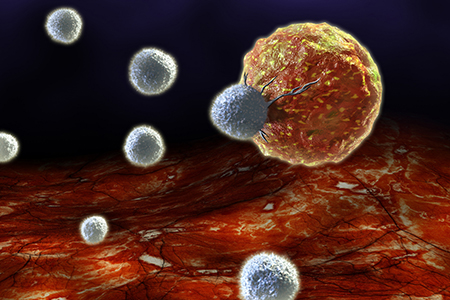 EACR 2019 Conference Series Review