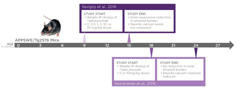 Rodent Alzheimer's Disease Model Supports New Therapies