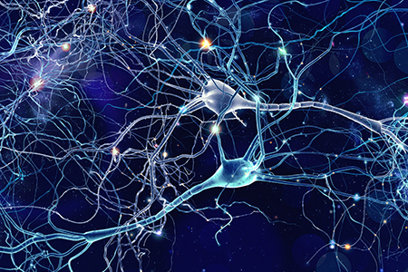 The Role of Inflammation in Parkinson's Disease