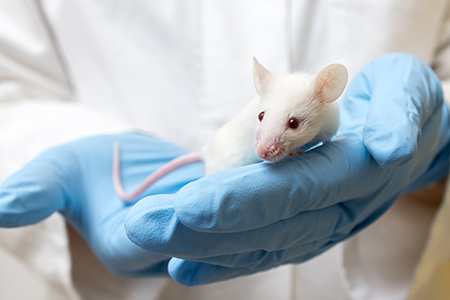 Hot Topics at AALAS National Meeting 2017