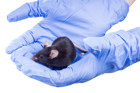 Microbiome Articles in the Top 5 of Articles Read in 2017