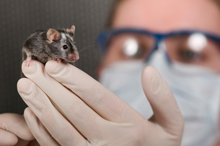 Why Your Transgenic Design Project Failed