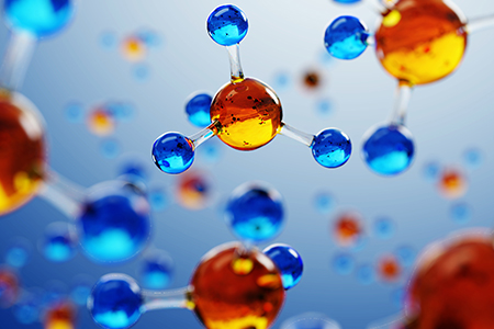 Importance of Vitamins in Human and Murine Diets