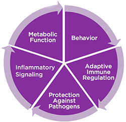 Microbiome Activities Graph