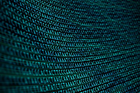 Why SNP test your mice?