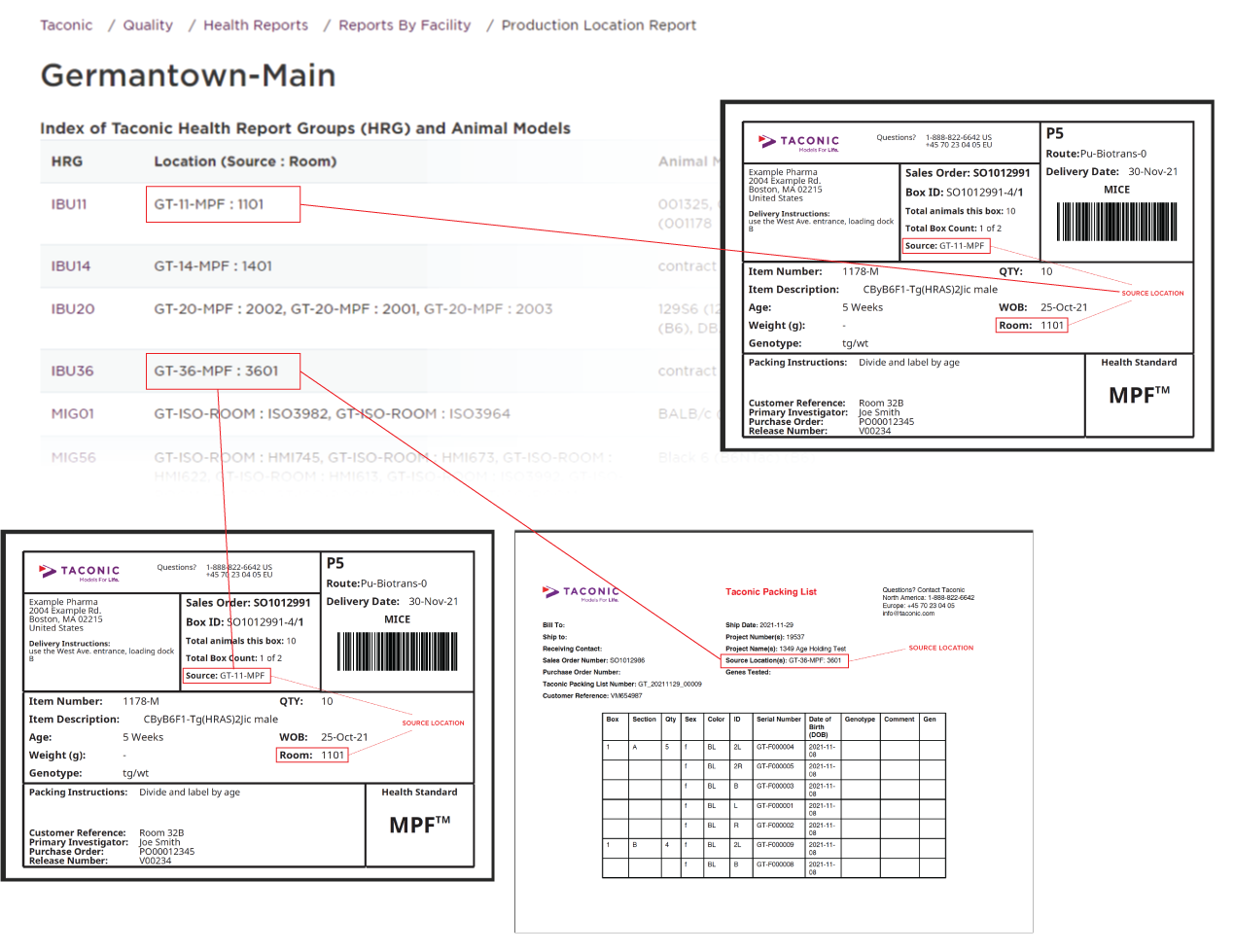 Health Report Example